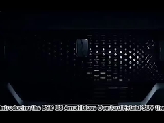 Travel Right Hand Drive Vehicles BYD Dolphin Hatchback Car